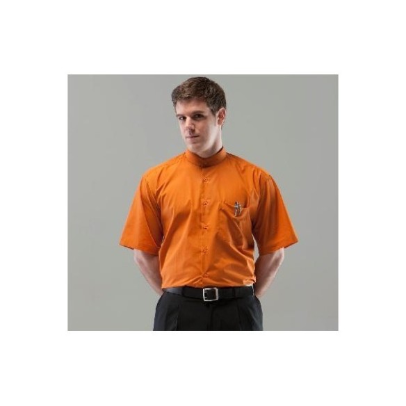 CAMISA COLL MAO MÀNIGA CURTA