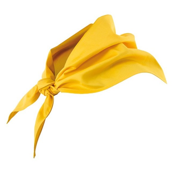 pañuelo triangular colores del mundo 14