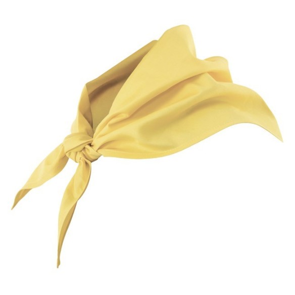 pañuelo triangular colores del mundo 23