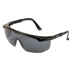 GAFAS COFRA STEELY GRIS