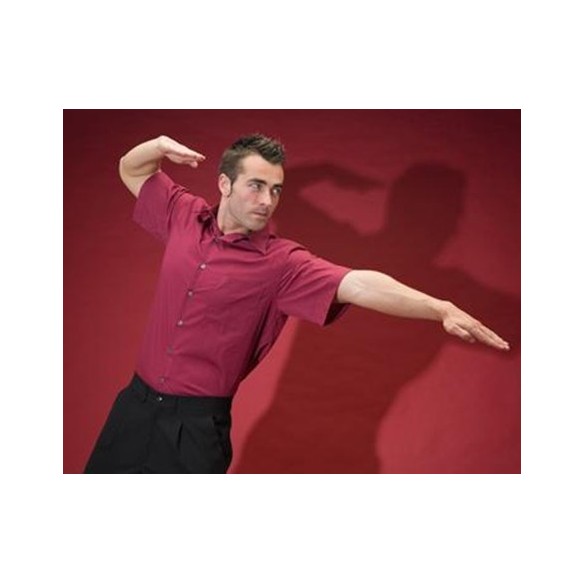 CHEMISE HOMME MANCHES COURTES 