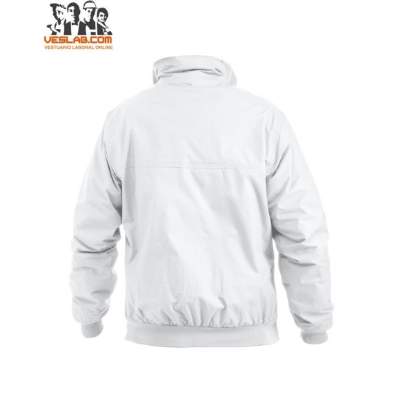 orwell jacket clique 2