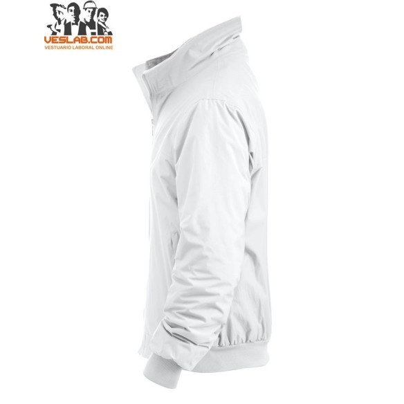 orwell jacket clique 3