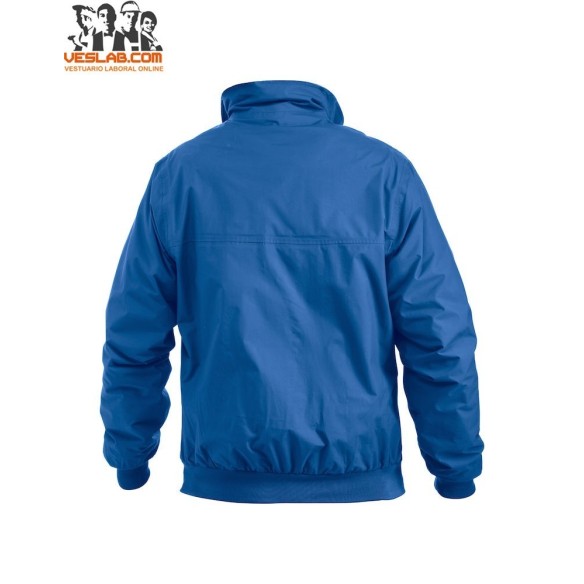 orwell jacket clique 7