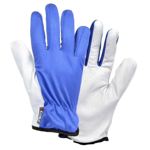 guantes cofra lissom (pack 12 uts.) 2