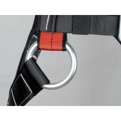 arnes cofra round-line dracorex 4