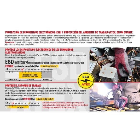 COFRA EVOTRIO GLOVES (PACK 12 uds.)