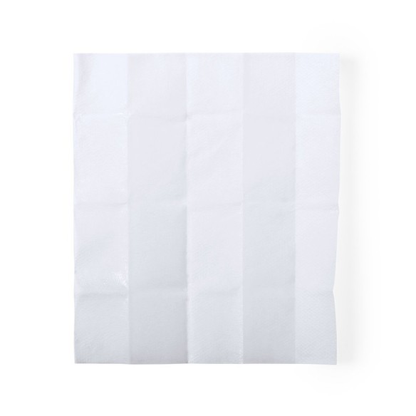 CLEANING WIPE (LOT 100 uts.)