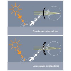 GAFAS BOLLÉ COBRA