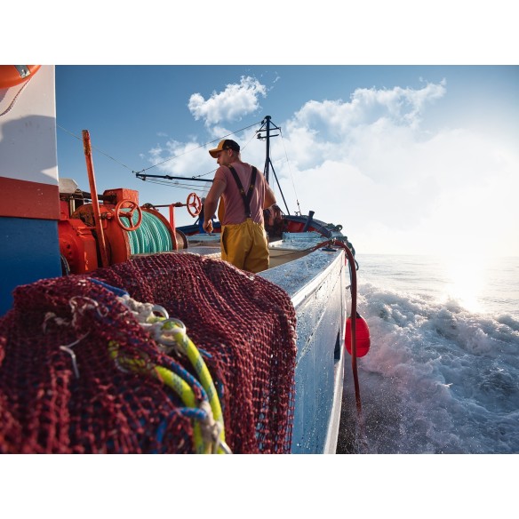 peto guy cotten triplée con tirantes (cbd) 10