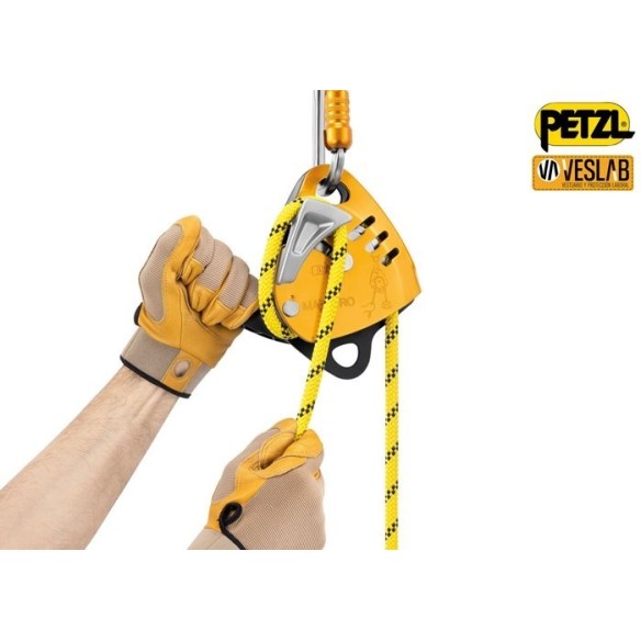 Petzl Maestro S