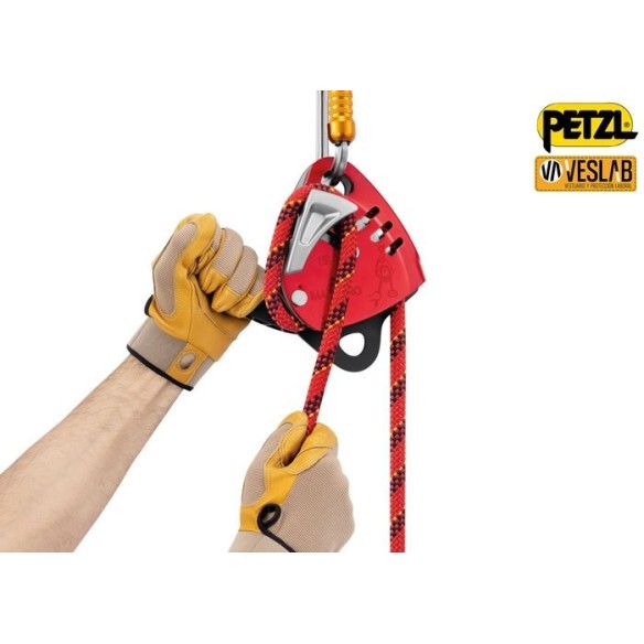 Petzl Maestro L