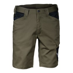 BERMUDAS COFRA BASILCAS