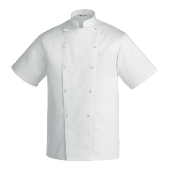 VESTE CUISINE REX MANCHE COURTE