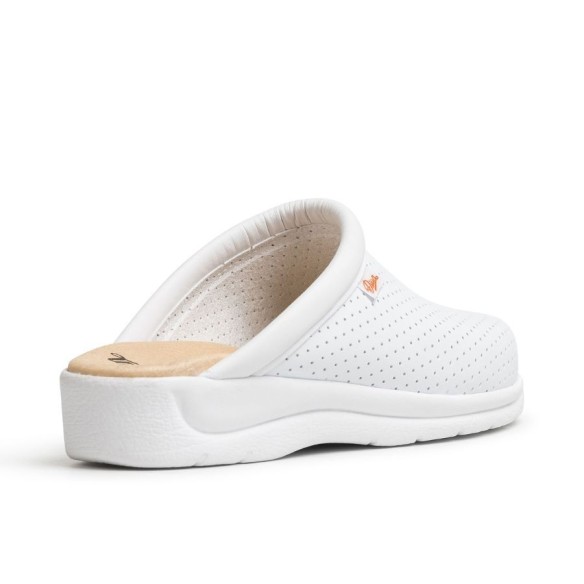 ESCLOP DIAN PISA (Corretja)