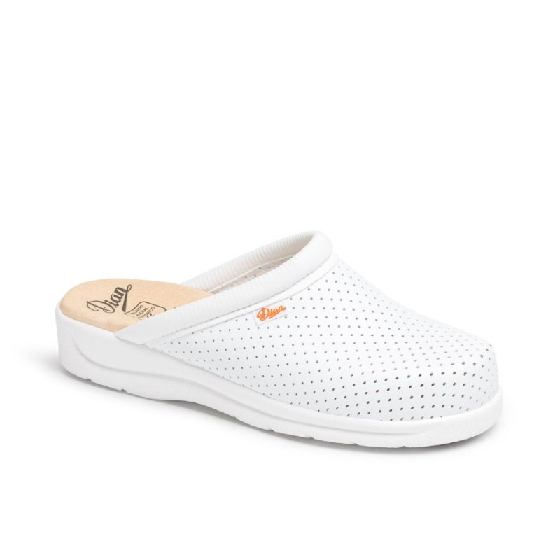 Zueco sanitario PISA blanco | Dian