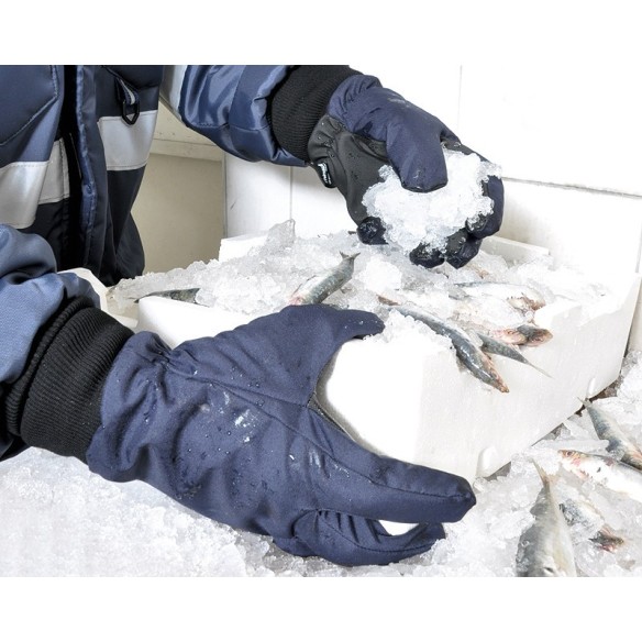 COFRA TUNDRA GLOVES (PACK 12 units)