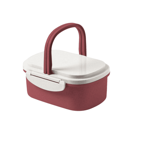 CARMANYOLA AMB NANSA