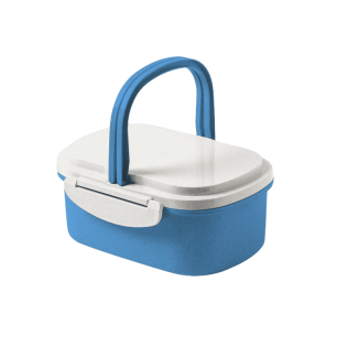 LUNCH BOX WITH HANDLE 2