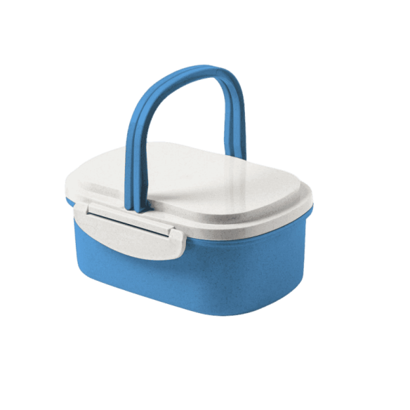 LUNCH BOX WITH HANDLE