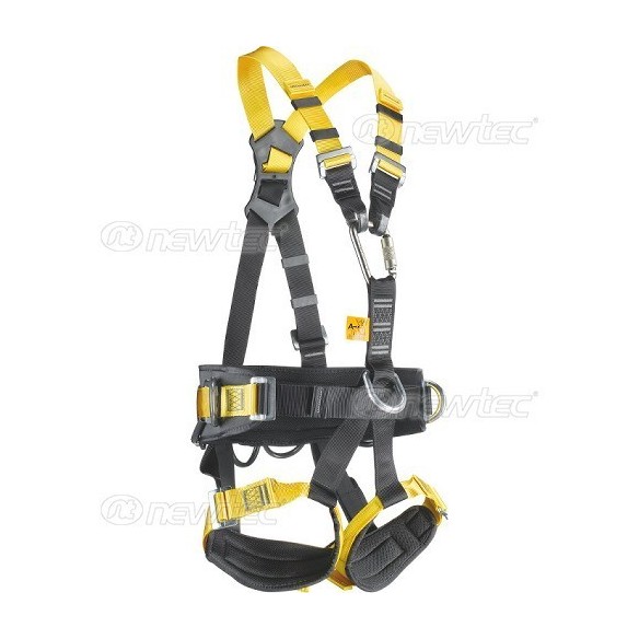 arnes newtec eagle 6 1