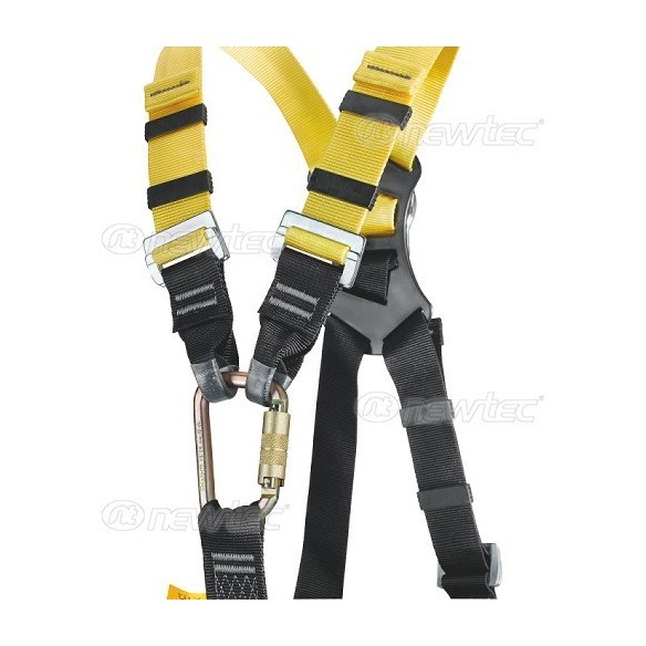 arnes newtec eagle 6 4