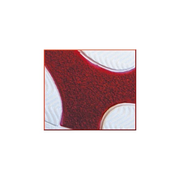 ESCLOP DIAN PISA (Corretja)