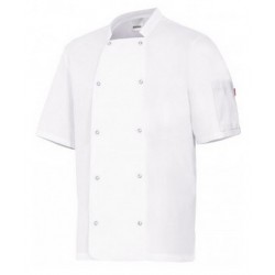 CHEF JACKET WITH SHORT SLEEVES