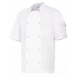 VESTE DE CHEF MANCHES COURTES