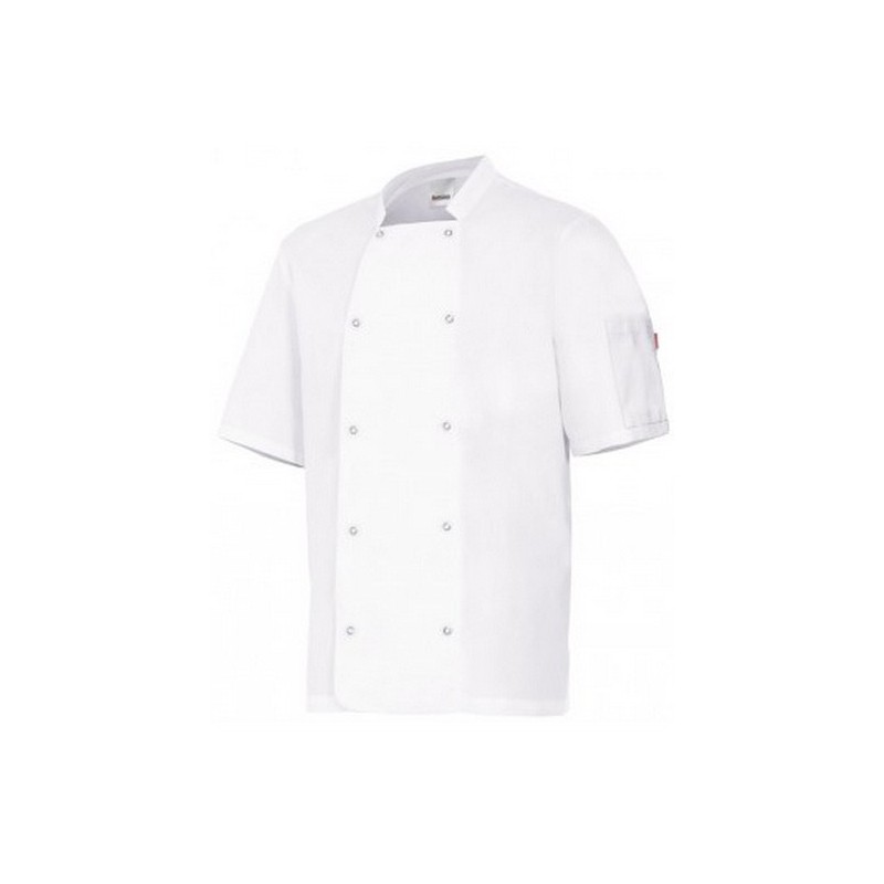 CHEF JACKET WITH SHORT SLEEVES