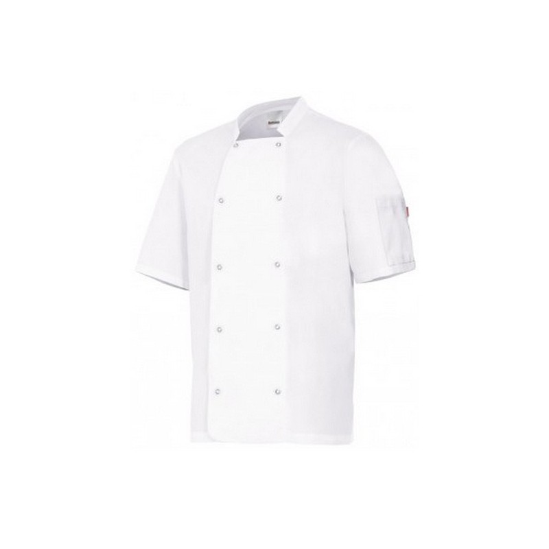 VESTE DE CHEF MANCHES COURTES