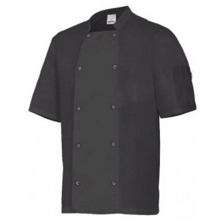 chaqueta de cocinero manga corta con automaticos 1 2