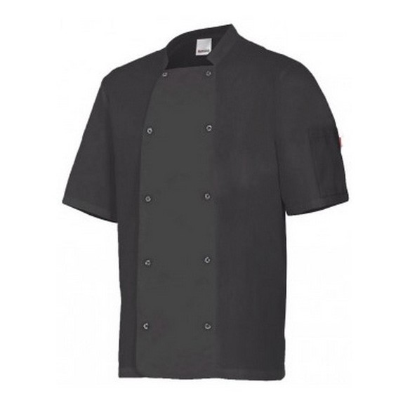 VESTE DE CHEF MANCHES COURTES