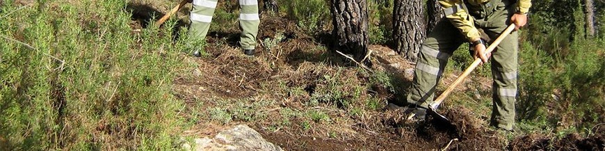 Calzado para el sector forestal | Veslab