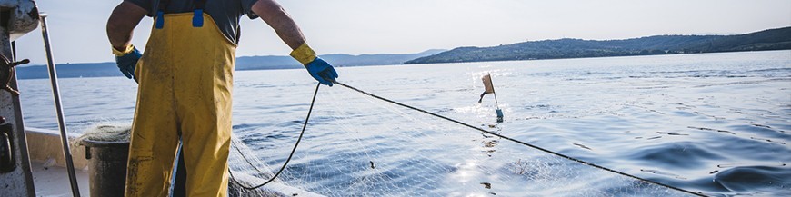 Ropa de pesca |Vestuario laboral para el pescador | Veslab.com