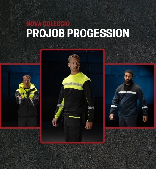 PROGRESSION PROJOB CA